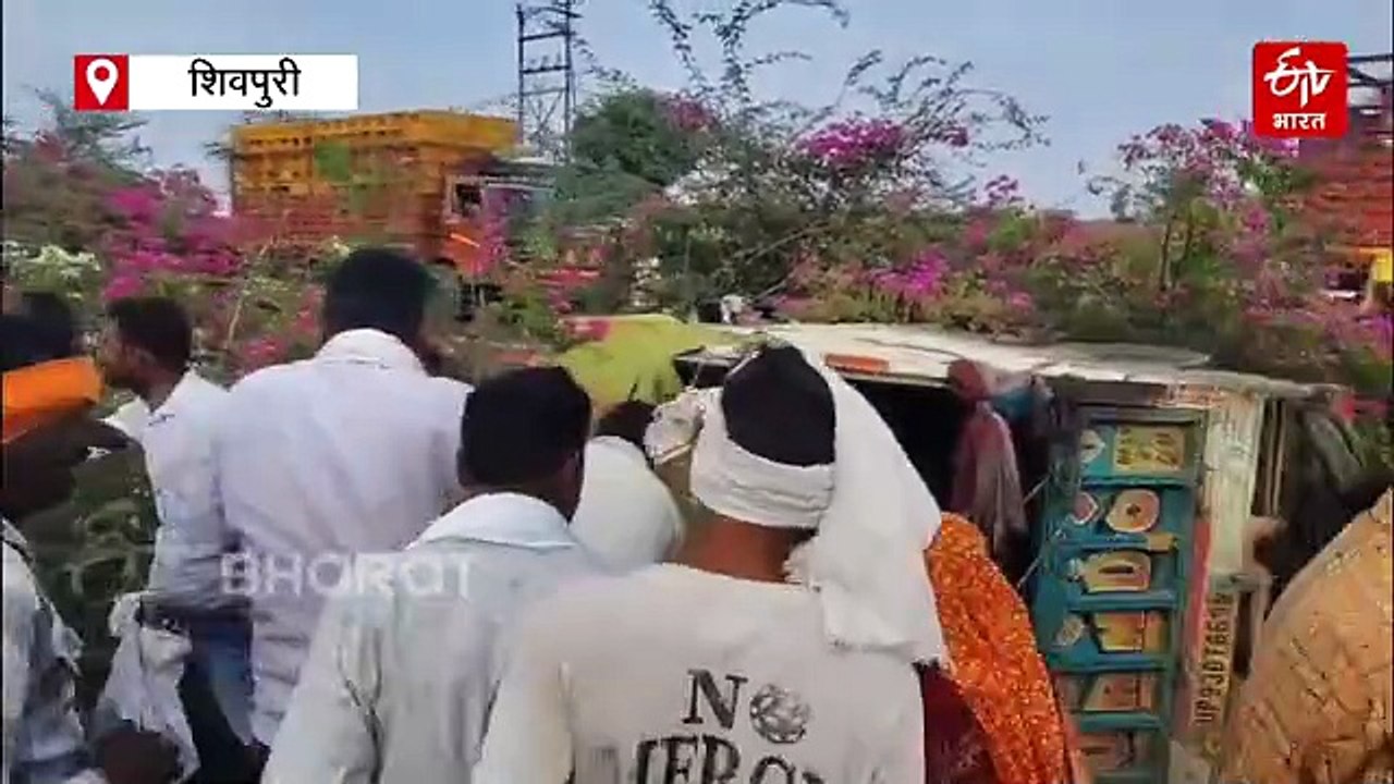 शिवपुरी में अंगूर की मची लूट, ट्रैक्टर-ट्रॉली को टक्कर मारने के बाद पलटा लोडिंग वाहन, ड्राइवर फरार