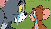 Tom and Jerry cartoon funny 😅🤣