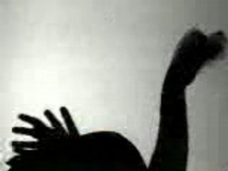 MAGIC_HANDS_1MPEG