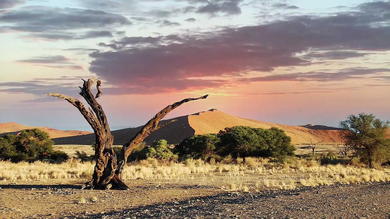 Sérénité Sonore Oud Arabe _ Voyage au Cœur du Calme