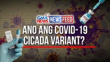 Ano ang COVID-19 Cicada variant? | GMA News Feed