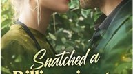 Snatched a Billionaire to be My Husband Full Movies