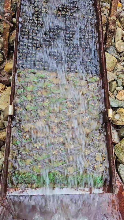 Gold Rush 2026 #goldrush #goldprospecting #goldriver