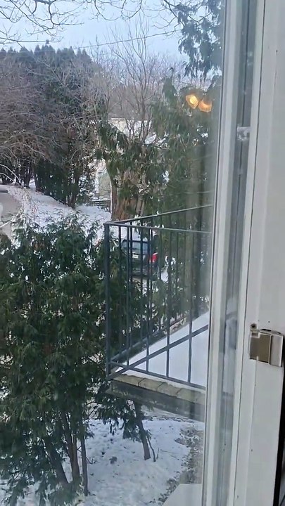 Security concern was the final straw, especially with notifications of burglary in adjacent areas.