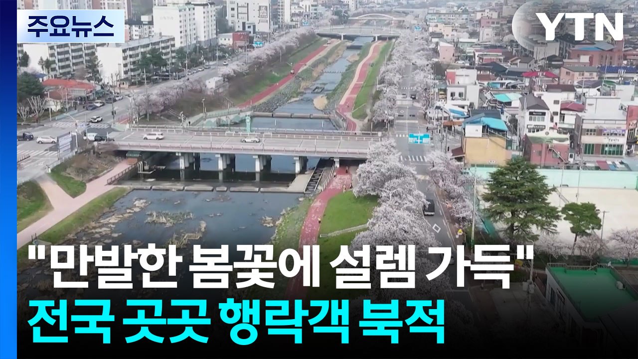 "만발한 봄꽃에 설렘 가득"...전국 곳곳 행락객 북적 / YTN