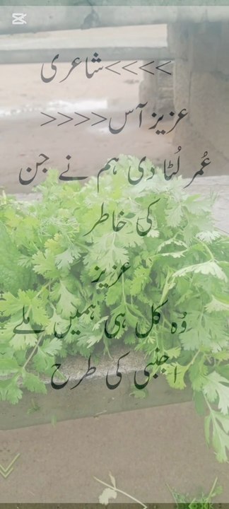 Nice poetry