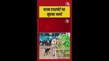 पटना एयरपोर्ट पर पैसेंजर के बैग से मिले 3 कारतूस