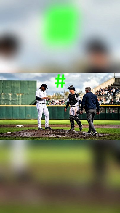 Tigers' Comeback Thanks to Valdez, Dingler