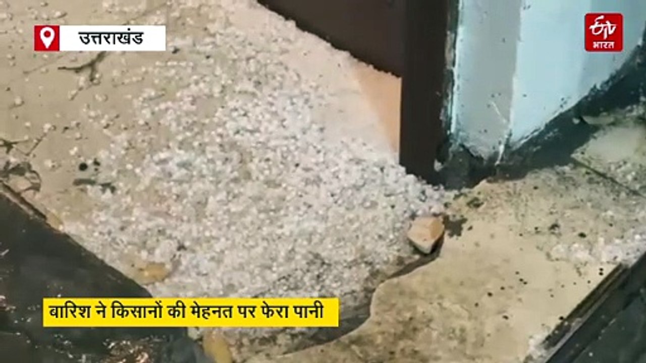 उत्तराखंड में कहर बरपा रहा मौसम, झमाझम बारिश-ओलावृष्टि से फसल बर्बाद, मौसम विभाग ने जारी किया अलर्ट