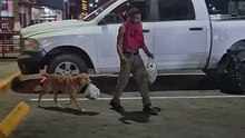 Un perro muestra su apoyo total ayudando a su dueño en la recolección de latas de aluminio durante la noche del viernes en el malecón de San Felipe.