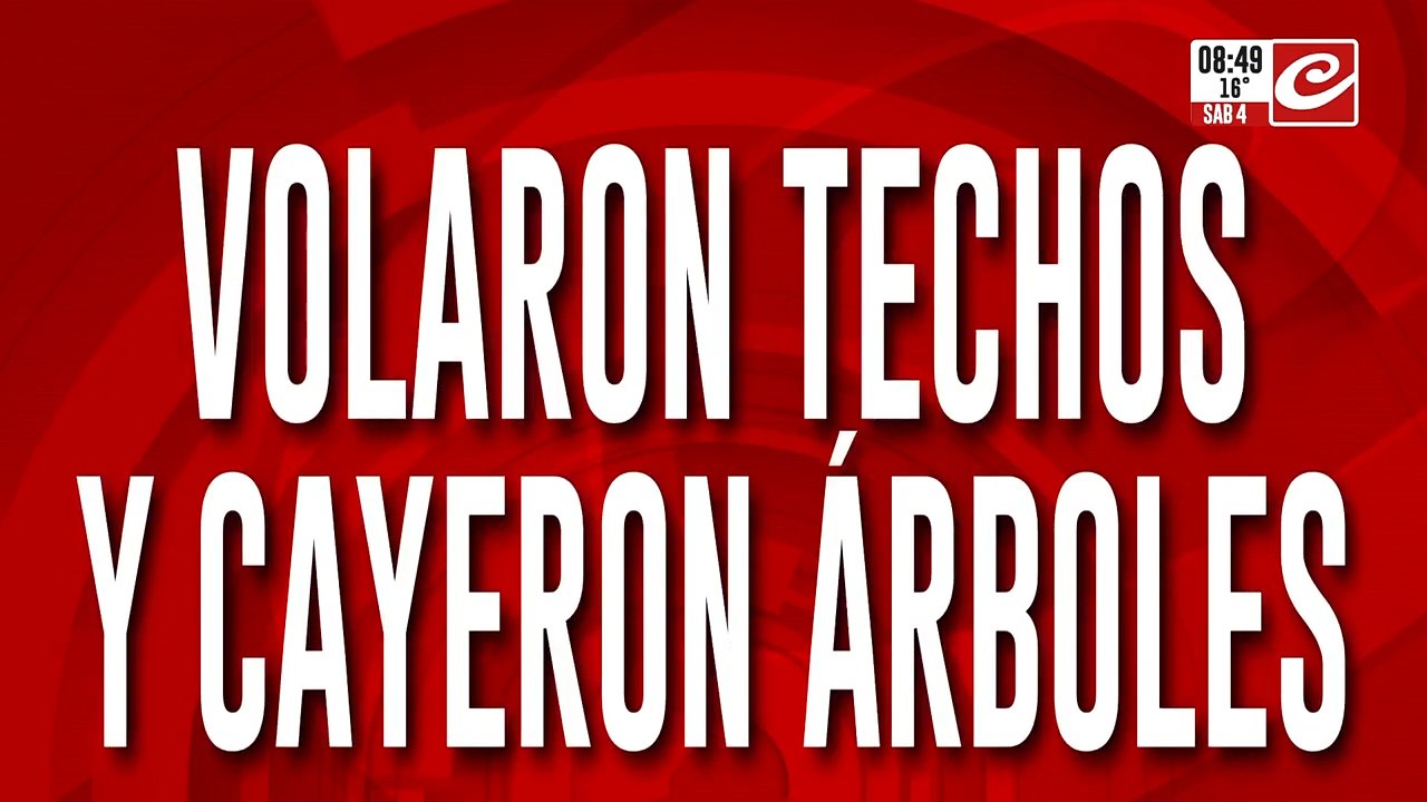 Furioso temporal en el AMBA: calles inundadas, árboles caídos y destrozos