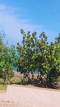 Le Malecón de Baracoa, Cuba