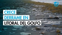 Derrame en el Golfo de México ya afecta 900 kilómetros de litoral, alertan organizaciones