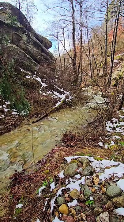 Gold Prospecting And Nature Exploration in Streams