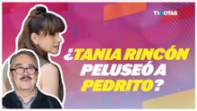 Pedrito Sola EXPONE a Tania Rincón: “Ya no es mi amiga”