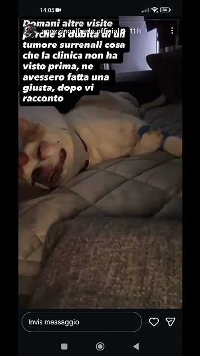 Agozzino Alfredo story con il piccolo arnold