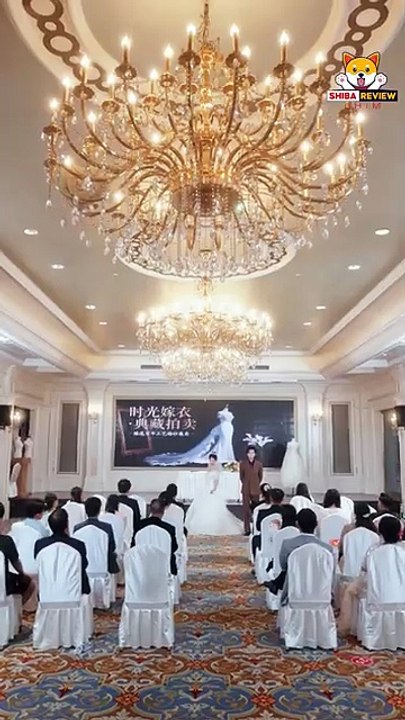 My IQ was insulted on my wedding day, so I turned the tables and married a CEO, only to find true love there.