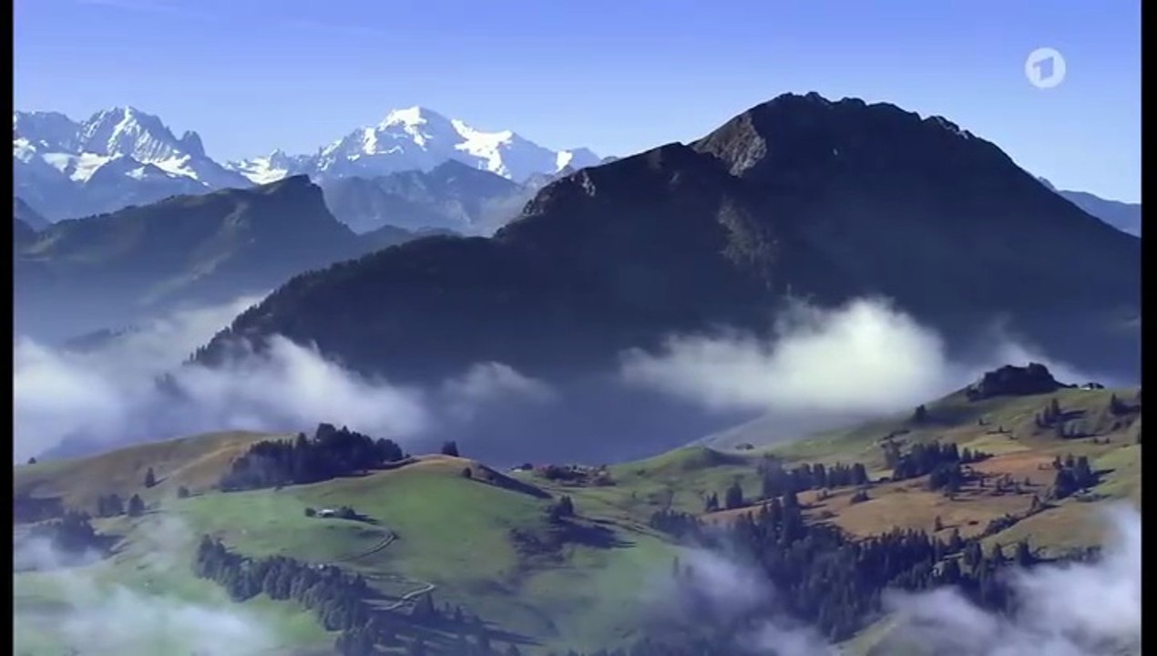 Die göttliche Sophie