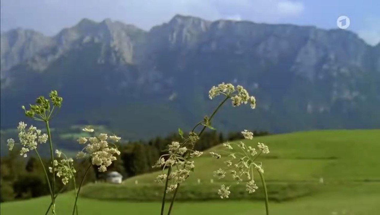 Die göttliche Sophie - Das Findelkind