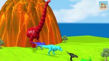 Long Slide Game With Elephant Gorilla Buffalo Hippopotamus Tiger - 3d Animal Game - Funny 3d Animals