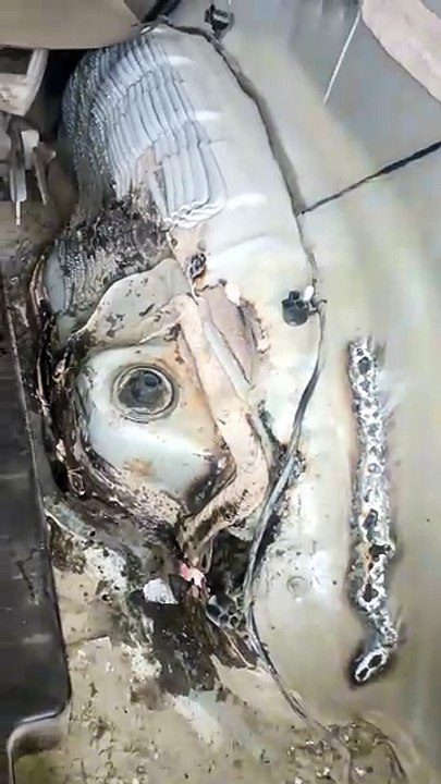 Más reparaciones