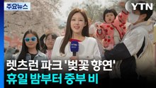 [날씨] 렛츠런 파크 '벚꽃 향연'...휴일 나들이 무난, 밤부터 중부 비 / YTN