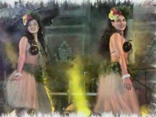 Pacific Flowers Pasar Malam Arnhem