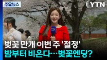 [날씨] 북적이는 '馬시멜로 벚꽃축제'...휴일 밤 중부부터 비 / YTN