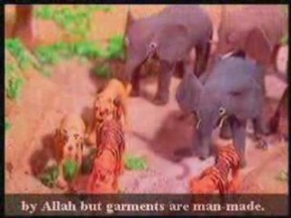 قصص الانياء .سليمــان