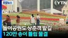 봄꽃으로 물든 도심 놀이공원...봄맞이 인파 '북적' / YTN