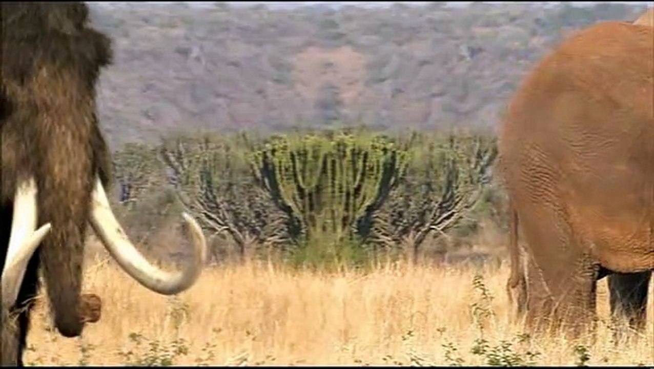 Prehistoric.Park.S01E05.FRENCH