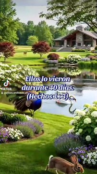 Jesús animó a sus discípulos