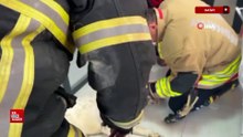 Hatay'da boynuna zincir sıkışan köpeğin imdadına itfaiye yetişti