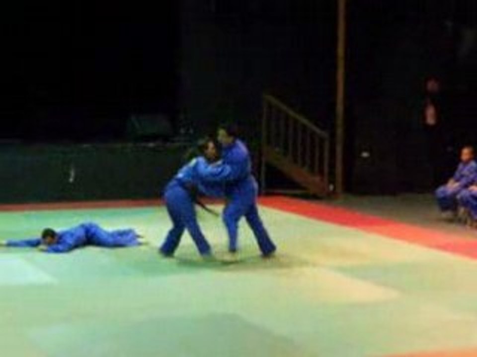 Vovinam EVVE démo