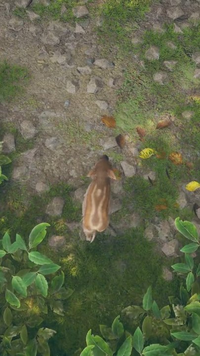 (Like un max !  Ça m’aide énormément) Adorable aventure