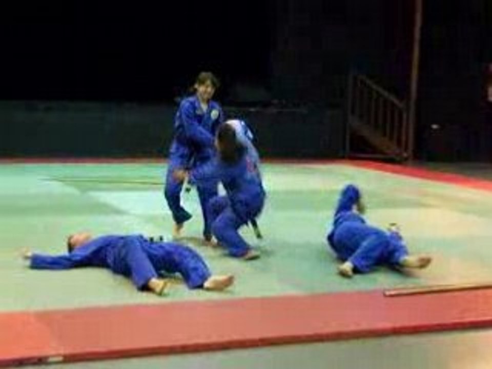 Vovinam EVVE démo2
