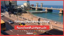 أجواء ربيعية وأمواج مستقرة على سواحل الإسكندرية