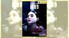 Jailed Bird Full Hd