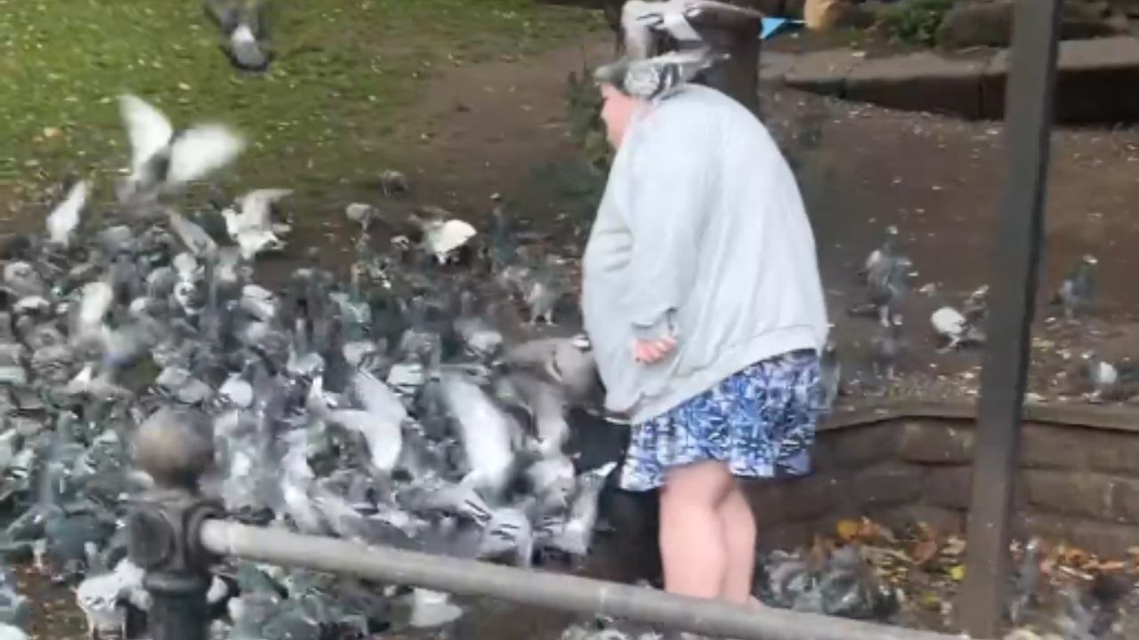 Woman gets swarmed by eager pigeons in a playful moment that mirrors Home Alone scene