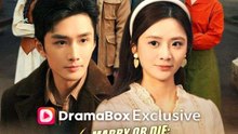 Marry or Die Three Lives to Break My Fate- Full Drama Movie English Sub