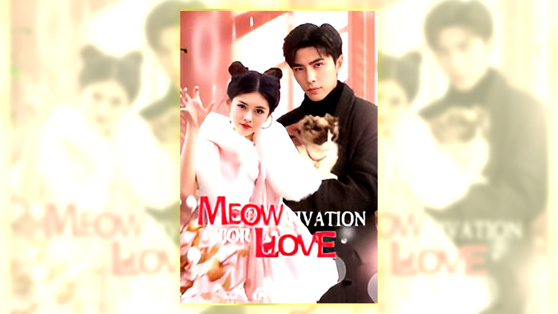 Meow-Tivation For Love Full Hd