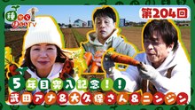 種から植えるTV 第204回 武田真一＆大久保佳代子 5年目突入記念！あのしんどい作業をもう一度SP＜ニンジン編＞ - 2026年04月05日