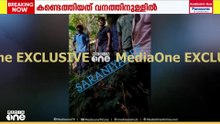 ശരണ്യയെ കാടിന് പുറത്തെത്തിച്ചു; അകപ്പെട്ടത് വന്യമൃഗങ്ങളുള്ള കാട്ടിൽ; ആരോഗ്യവതിയെന്ന് യുവതി