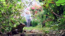Secret Garden (2026) - Season 1 Episode 2 - Bristol