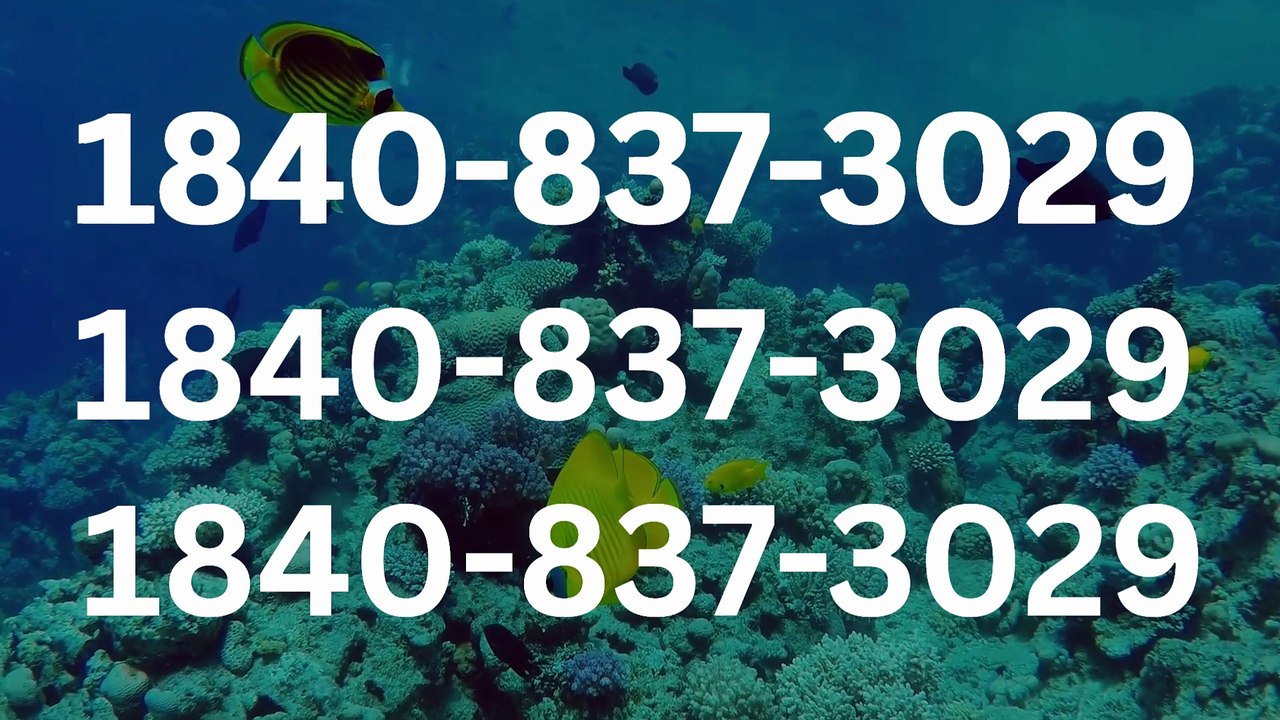 ≋ ⁂ 《||Coinbase®||》CUSTOMER CARE©SUPPoRT℗ Phone NuMber (OfficiAl)