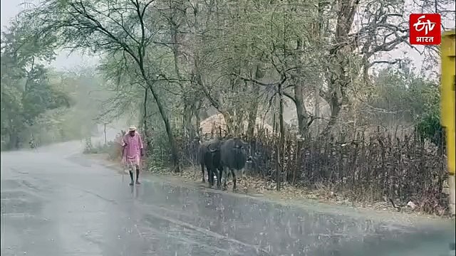छत्तीसगढ़ में मौसम का यू टर्न, झमाझम बारिश से गिरा पारा, लोगों को गर्मी से मिली राहत