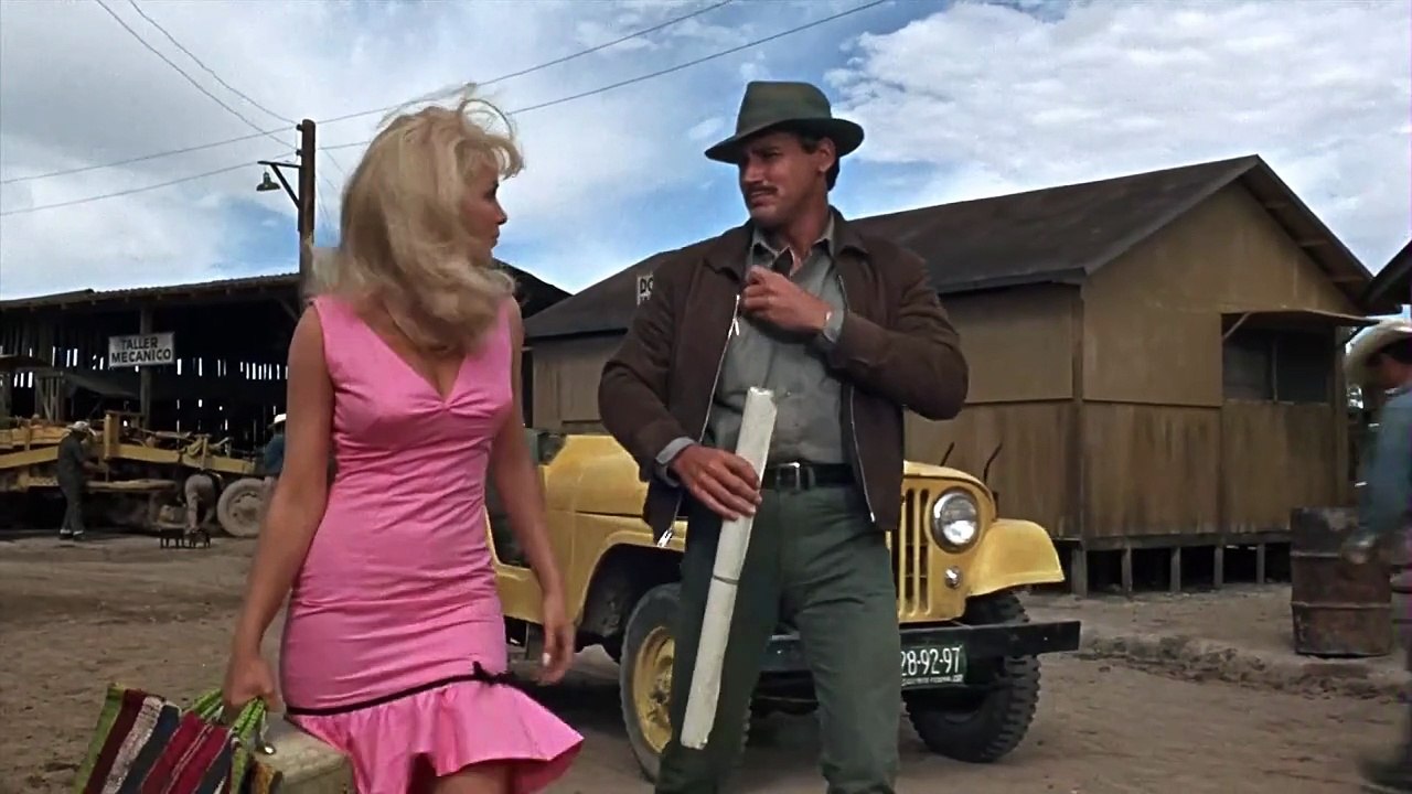 In 48 Stunden (1966)