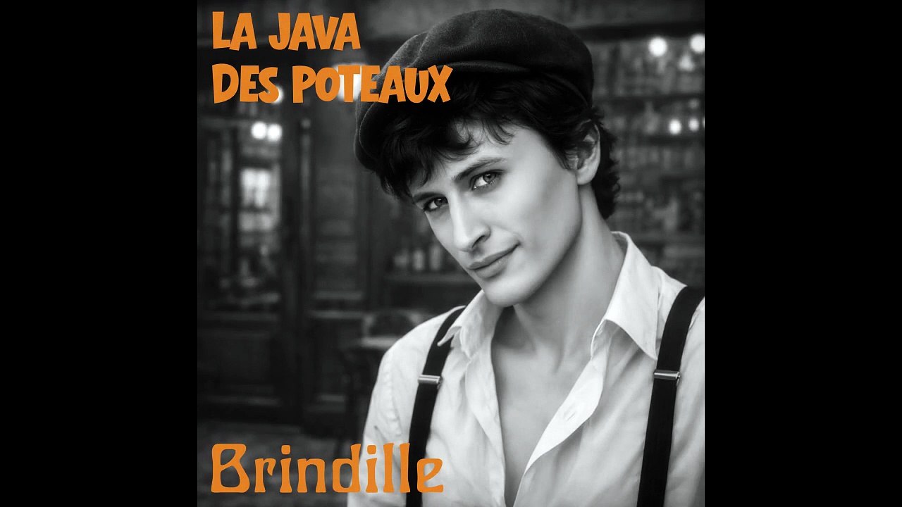 La Java des poteaux (version accordéon 2026) - Brindille