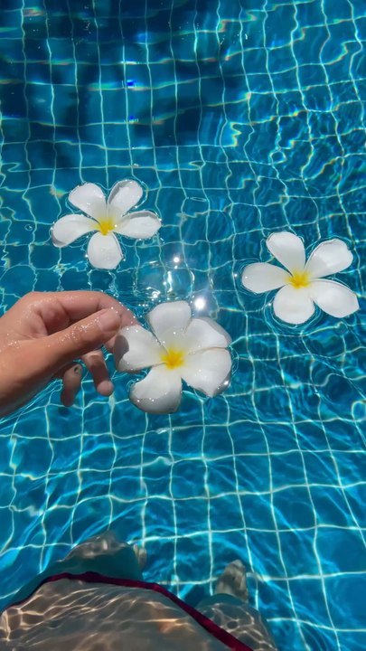 Flower even in water 🌸