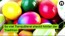 Finger weg von Ostereiern - so viel Tierquälerei steckt hinter der Tradition